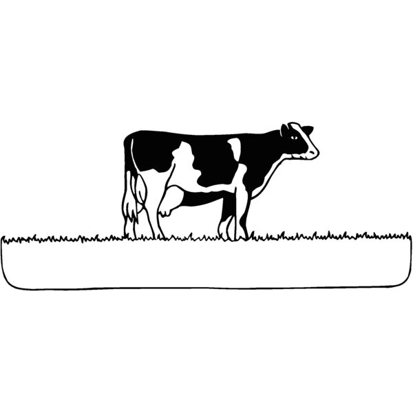 cow Thumbnail