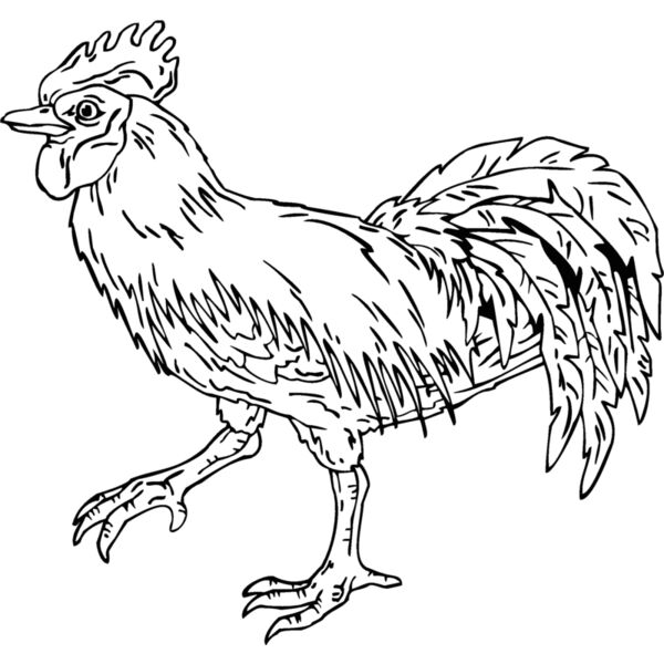 rooster Thumbnail