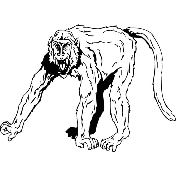 monkey2 Thumbnail