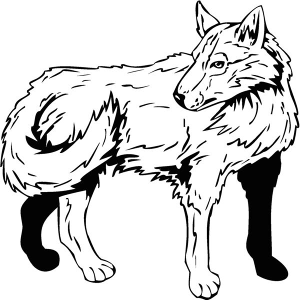 wolf6 Thumbnail