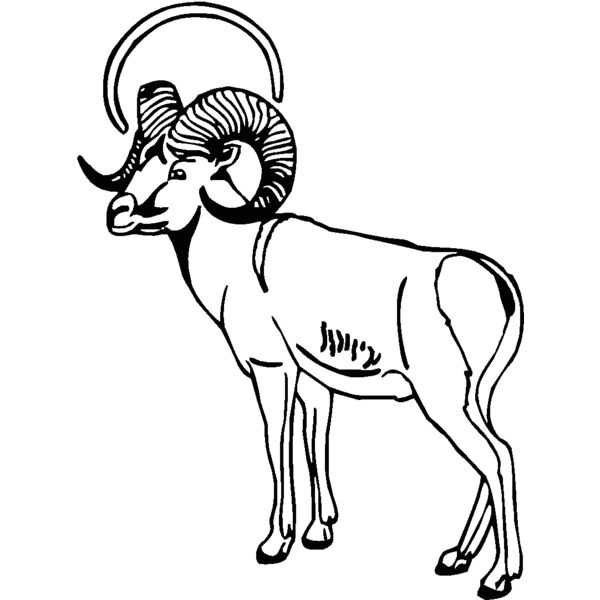 ram Thumbnail