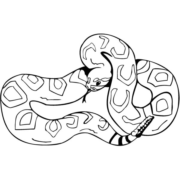western  Thumbnail
