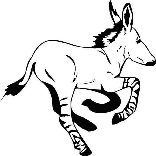 zebra2 Thumbnail