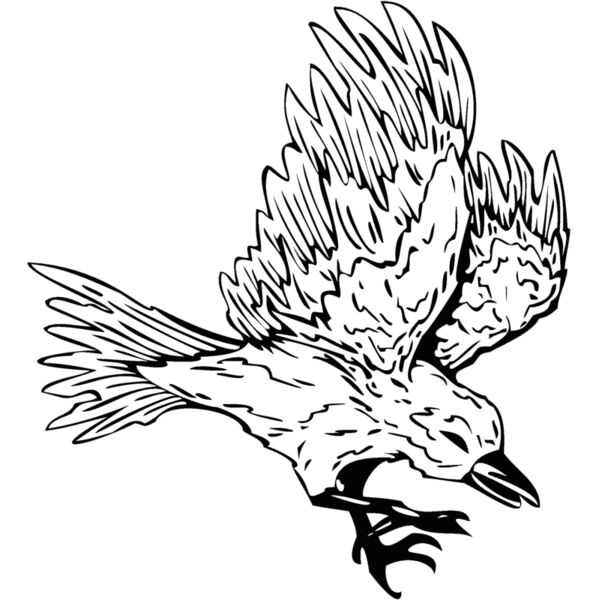 bird13 Thumbnail