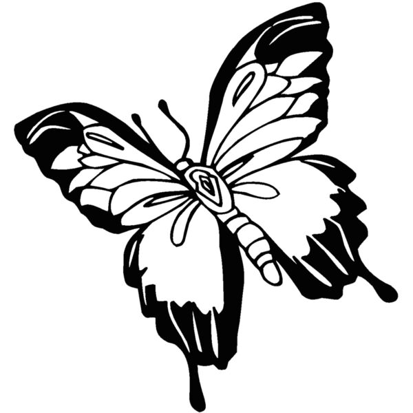 butterfl Thumbnail