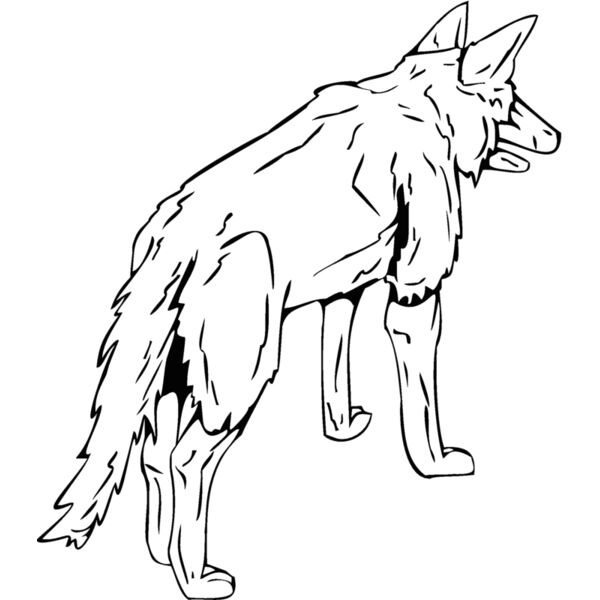 wolf5 Thumbnail