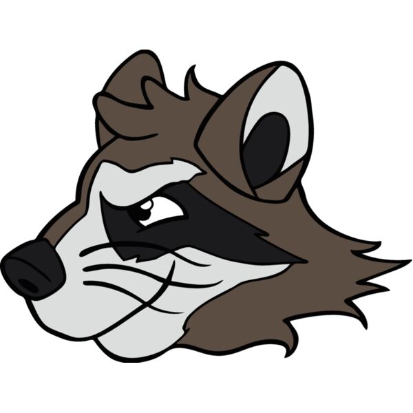 raccoonhd Thumbnail