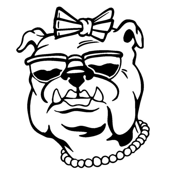 bdgir Thumbnail