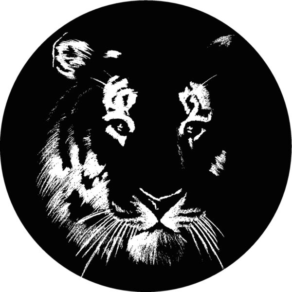 tigerhd9 Thumbnail