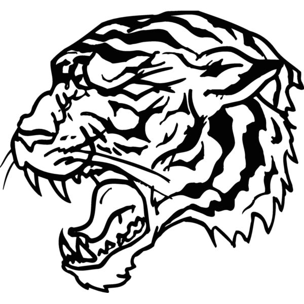 tigerhd20 Thumbnail