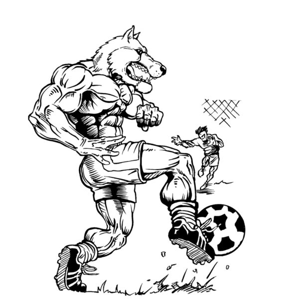 wfsr2 Thumbnail