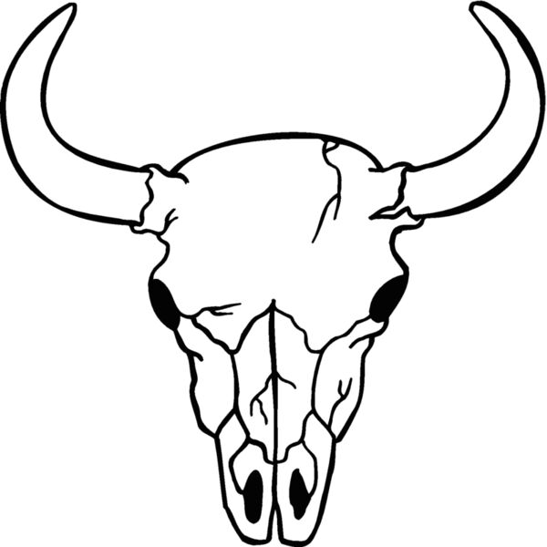 skull2 Thumbnail