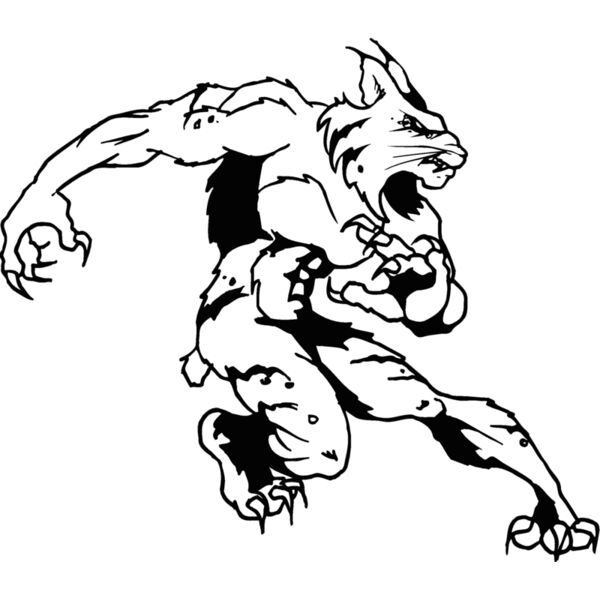bobcat3 Thumbnail