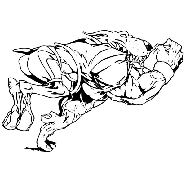 dogfb Thumbnail
