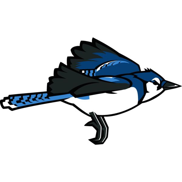 bluejay7 Thumbnail