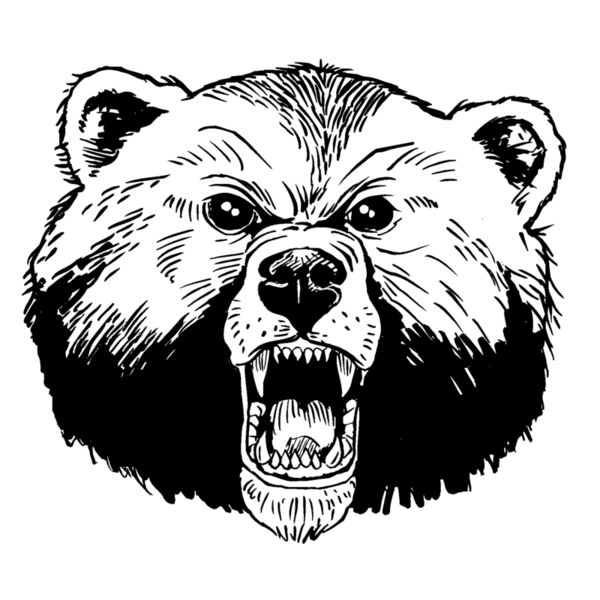 bear13 Thumbnail