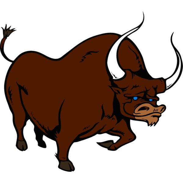 bull5 Thumbnail