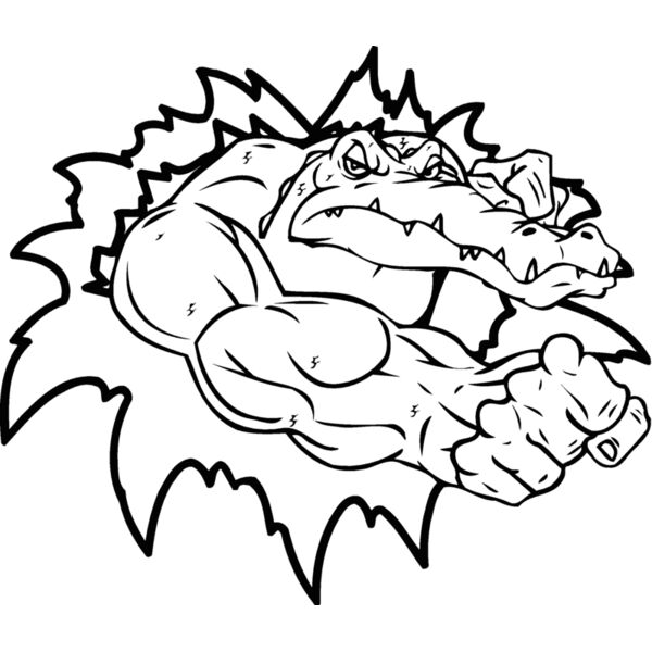 gator4 Thumbnail
