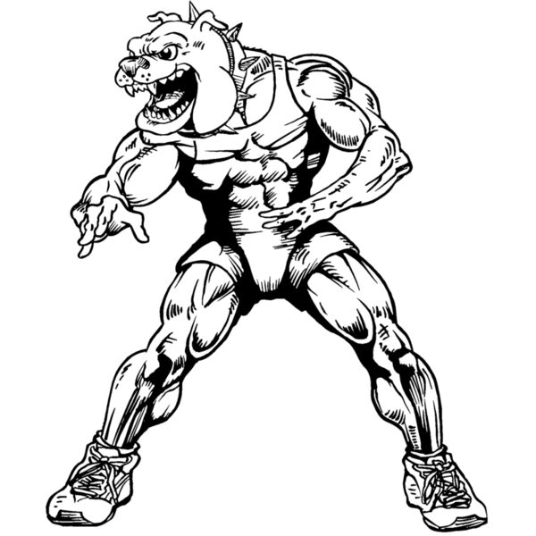 bdwr2 Thumbnail