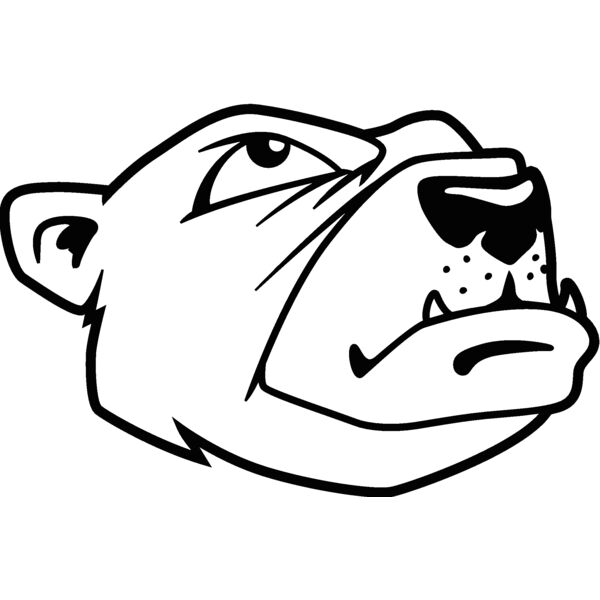 bear41 Thumbnail