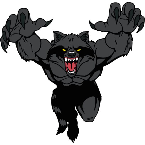 raccoonm3 Thumbnail