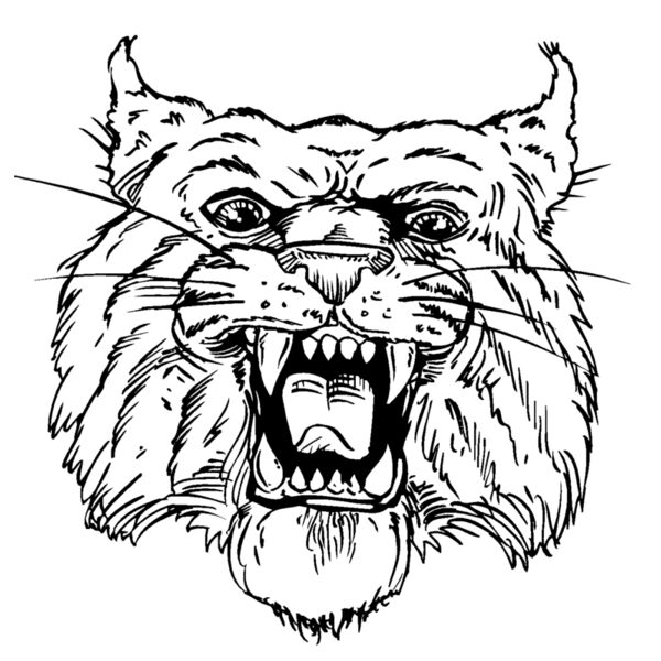 wildcathead06 Thumbnail