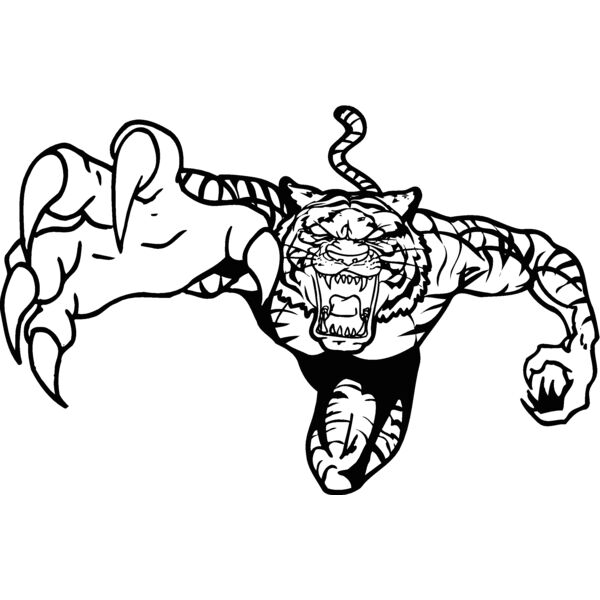 tiger5 Thumbnail