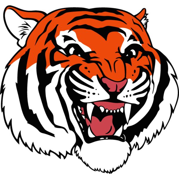 tigerhd27 Thumbnail