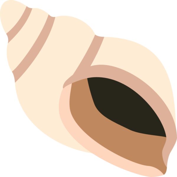 shell Thumbnail
