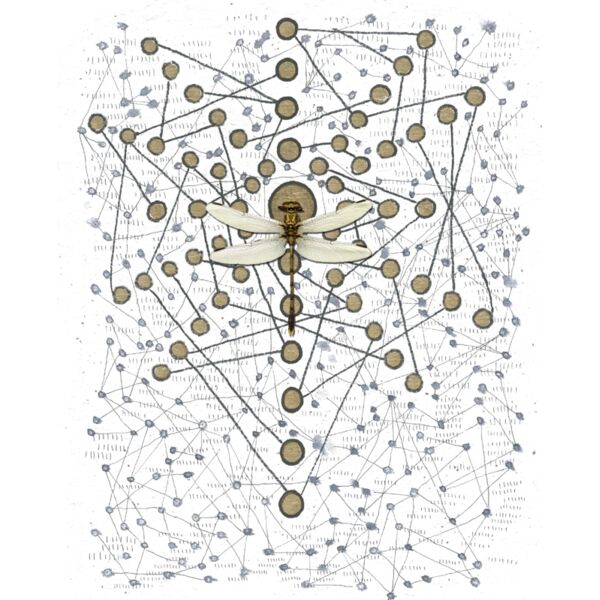 Chakra Web with dragonfly 4575 Thumbnail